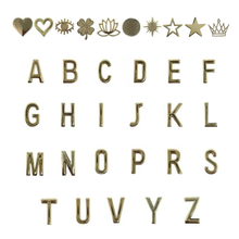 Load image into Gallery viewer, GLAM. Personalized Leather iPhone Case - GOLD/GOLD
