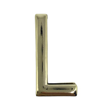 Load image into Gallery viewer, UMBI Case Letters Gold
